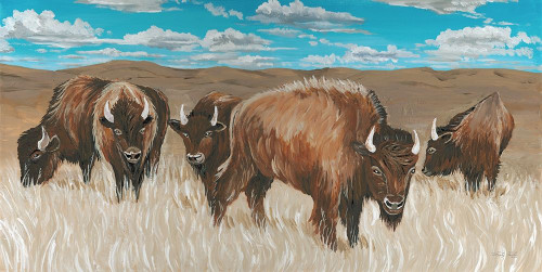 Bison Herd I by Cindy Jacobs (24 x 12)