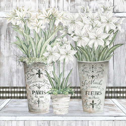 Amaryllis Multi Pots by Cindy Jacobs (24 x 24)