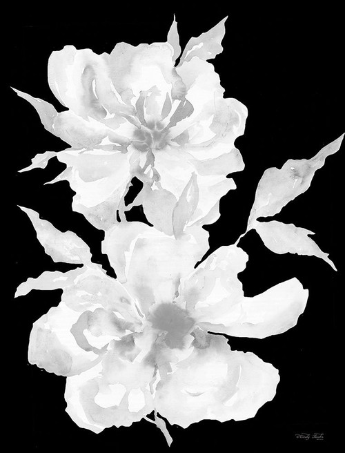 Black And White Flowers I by Cindy Jacobs (18 x 24)