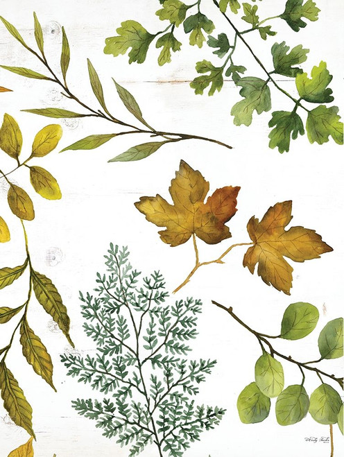 Leaf Patterns II by Cindy Jacobs (18 x 24)
