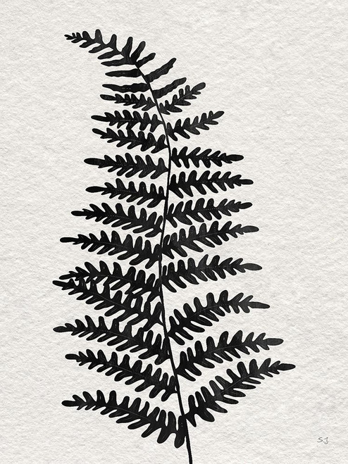 Forest Fern II by Susan Jill (18 x 24)