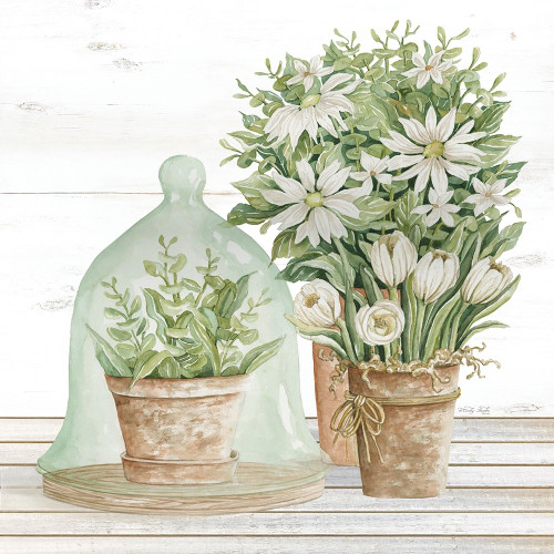 Flowers and Terrarium by Cindy Jacobs (24 x 24)