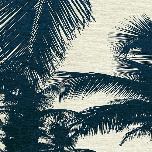 Caicos I by Susan Jill (24 x 24)