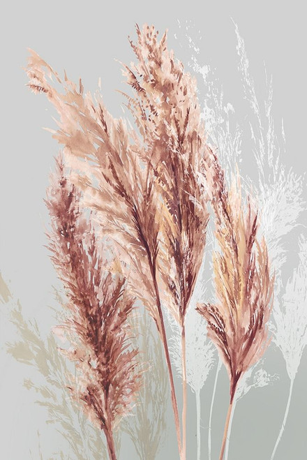 Blushing Pomp Grass II by Asia Jensen (18 x 24)
