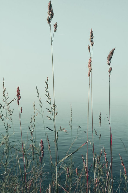 Slient Morning by Olivia Joy (16 x 24)