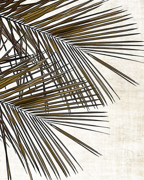 Palm I by Natalie Carpentieri (18 x 24)