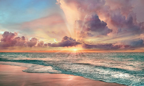 Copper Beach by Mike Calascibetta (24 x 14)