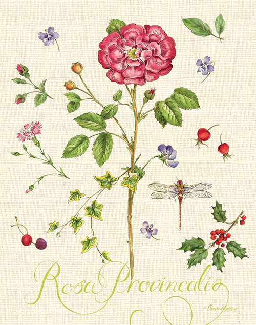 Lang of Flowers II by Pamela Gladding (18 x 24)