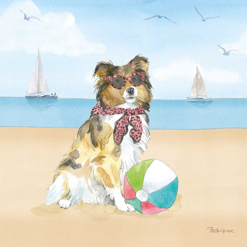 Summer Paws V No Words by Beth Grove (24 x 24)