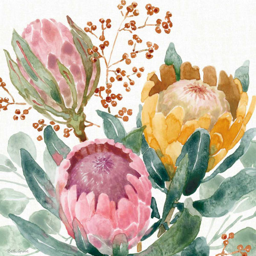 Petal Passion IX by Beth Grove (24 x 24)