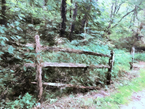 Abandoned Fence by Kim Curinga (24 x 18)