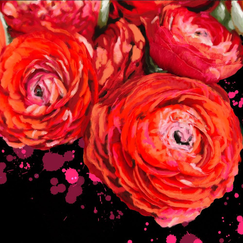 Fiery Ranunculus by Melody Hogan (24 x 24)