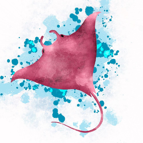 Manta Ray by Melody Hogan (24 x 24)