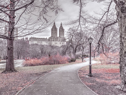 Pathway through Central park-New York by Assaf Frank (24 x 17)
