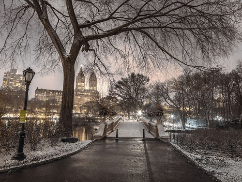 Evening view of Central park-New York by Assaf Frank (24 x 17)