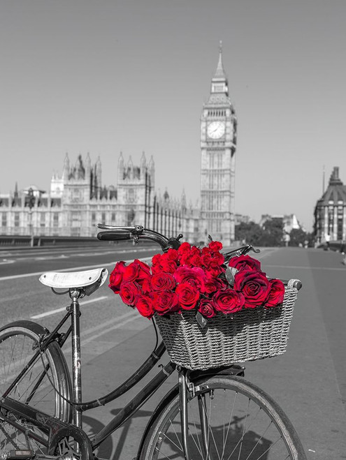 Bicycle with bunch of flowers on Westminster Bridge-London-UK by Assaf Frank (18 x 24) Bicycle with bunch of flowers on Westminster Bridge-London-UK by Assaf Frank (18 x 24)