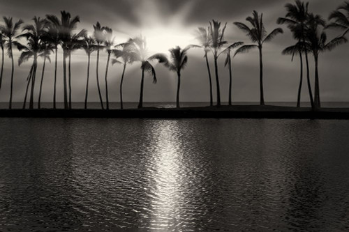 Summer Breezes III by Dennis Frates (24 x 15)