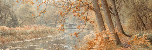 Canal through a forest by Assaf Frank (24 x 8)