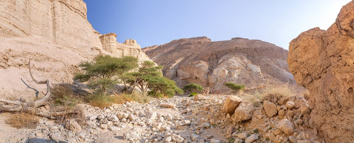 Negev Desert-Israel by Assaf Frank (24 x 9)