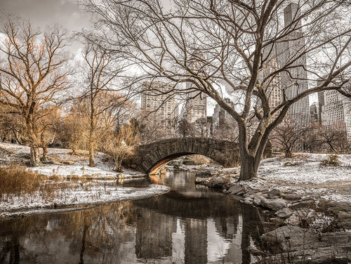 Central park in New York by Assaf Frank (24 x 18)