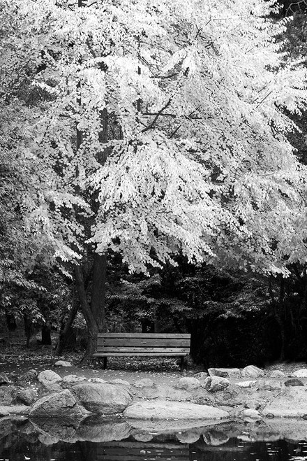 Silver Fall I by Vitaly Geyman (18 x 24)