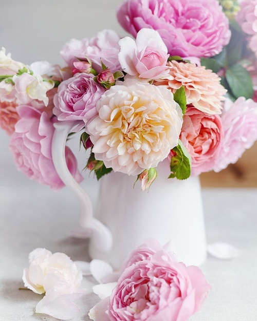 Romance Of Spring by Sarah Gardner (18 x 24)