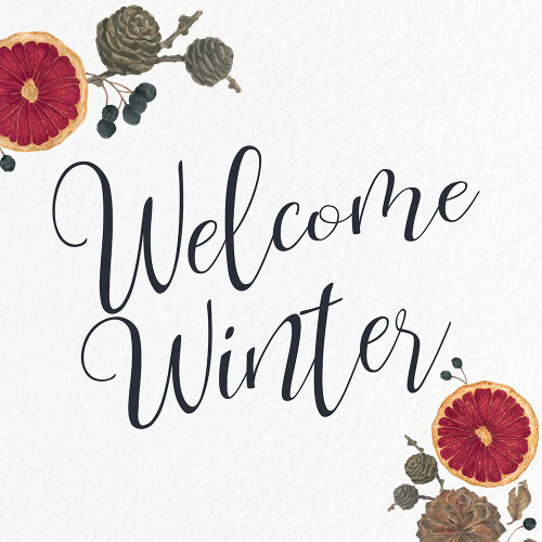 Welcome Winter by Kimberly Allen (24 x 24)