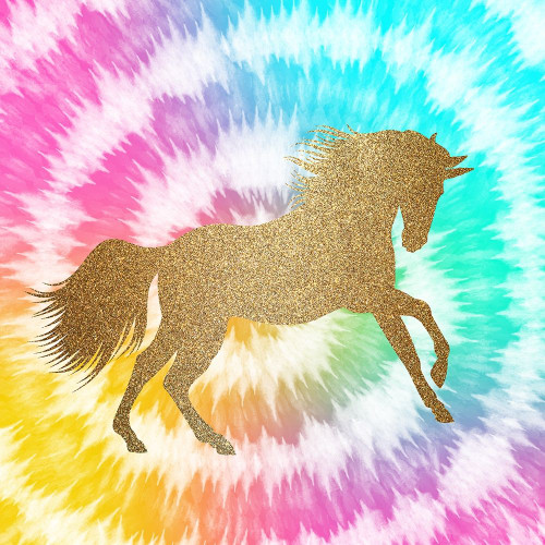 Tie Dye Unicorn 1 by Kimberly Allen (24 x 24)