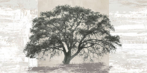 Ash Tree Panel by Alessio Aprile (24 x 12)