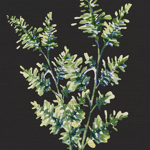Black Greens 2 by Kimberly Allen (24 x 24)
