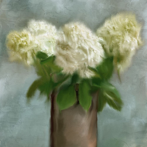 Hydrangeas by Kimberly Allen (12 x 12)
