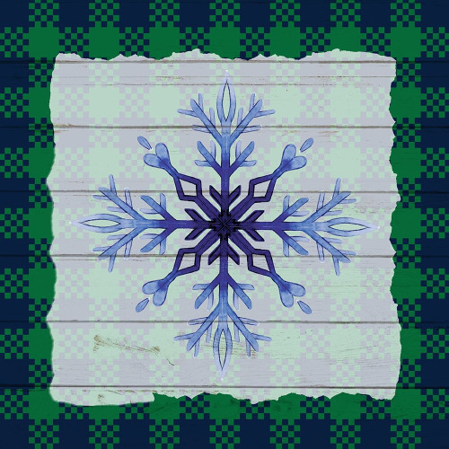 Snowflake Winter 1 by Kimberly Allen (24 x 24)