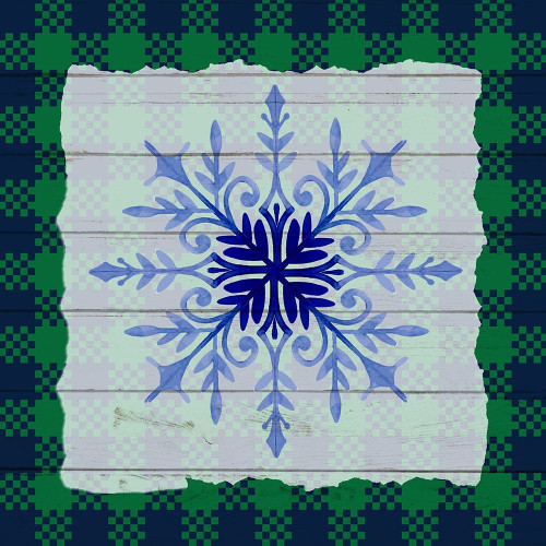 Snowflake Winter 3 by Kimberly Allen (24 x 24)