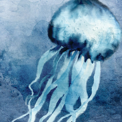 Deep Sea 2 by Kimberly Allen (12 x 12)