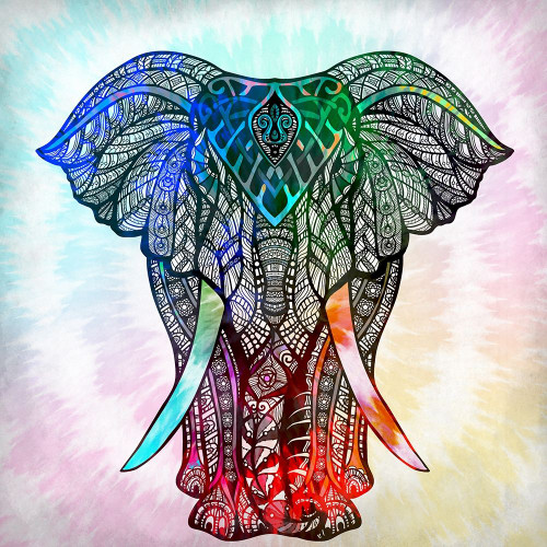 Elephant Mandala by Kimberly Allen (12 x 12)
