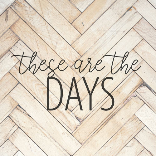 These are the Days by Kimberly Allen (24 x 24)