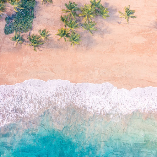 Pink Sands by Kimberly Allen (12 x 12)