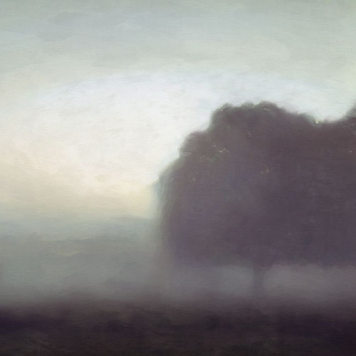 Revelation by Noah Bay (12 x 12)