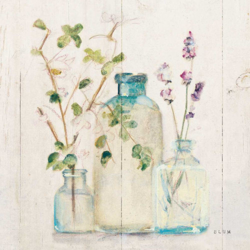 Blossoms V Light by Cheri Blum (24 x 24)