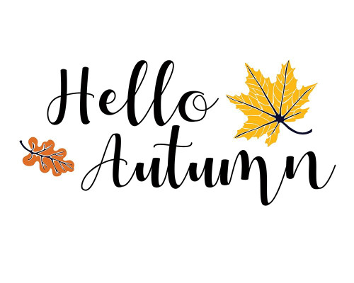 Hello by Victoria Brown (24 x 18)