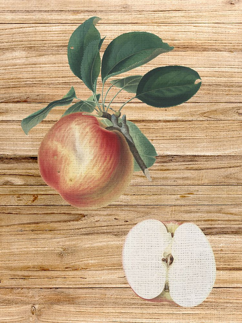 Pressed Fruit 1 by Ann Bailey (18 x 24)