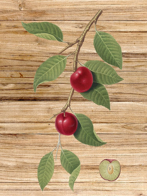 Pressed Fruit 3 by Ann Bailey (18 x 24)