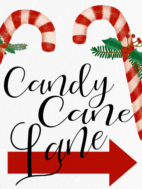 Candy Cane Lane by Ann Bailey (18 x 24)