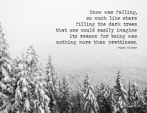 Snow Was Falling by Susan Ball (24 x 18)