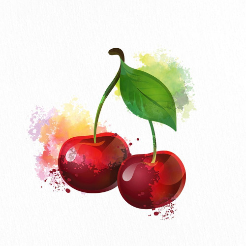 Fruit 2 by Ann Bailey (24 x 24)