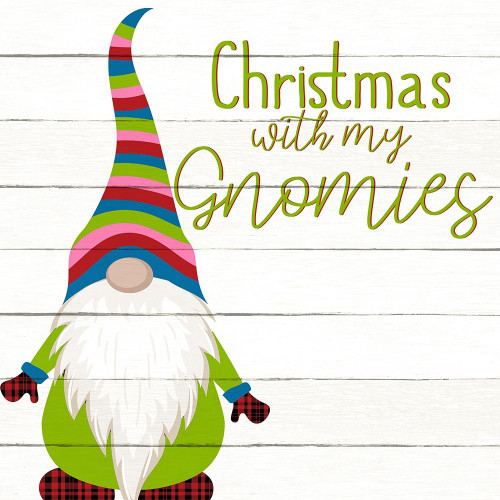 Gnomies by Ann Bailey (24 x 24)