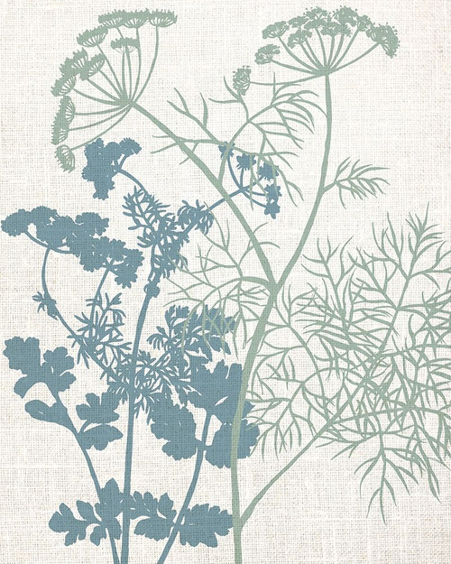 Linen Herbs 1 by Ann Bailey (18 x 24)