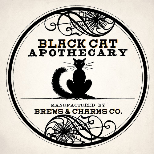 Black Cat v2 by Kimberly Allen (24 x 24)