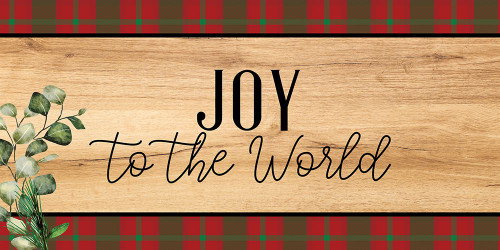 Joy Christmas by Kimberly Allen (24 x 12)