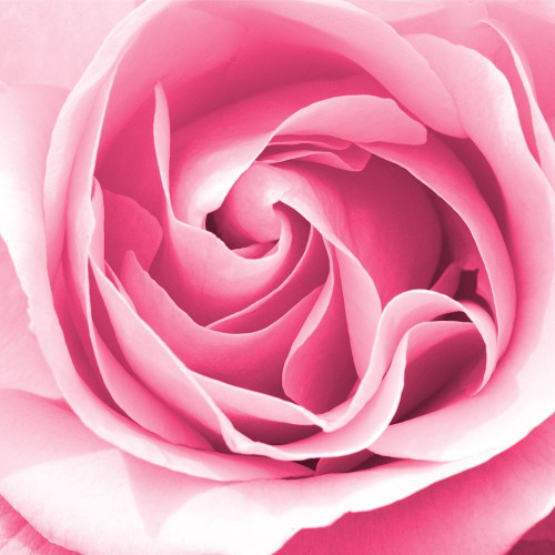 In Paris Hearts 2 by Kimberly Allen (24 x 24)